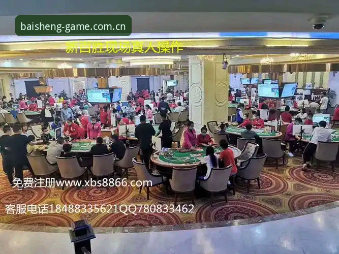 百胜多元化棋牌全面评测：从新手到老手的实战体验报告